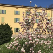 Ion Science Italia
