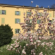 Ion Science Italia sponsor del 4° Congresso Nazionale P.E.S.C.A.S. 11 Ion Science Italia