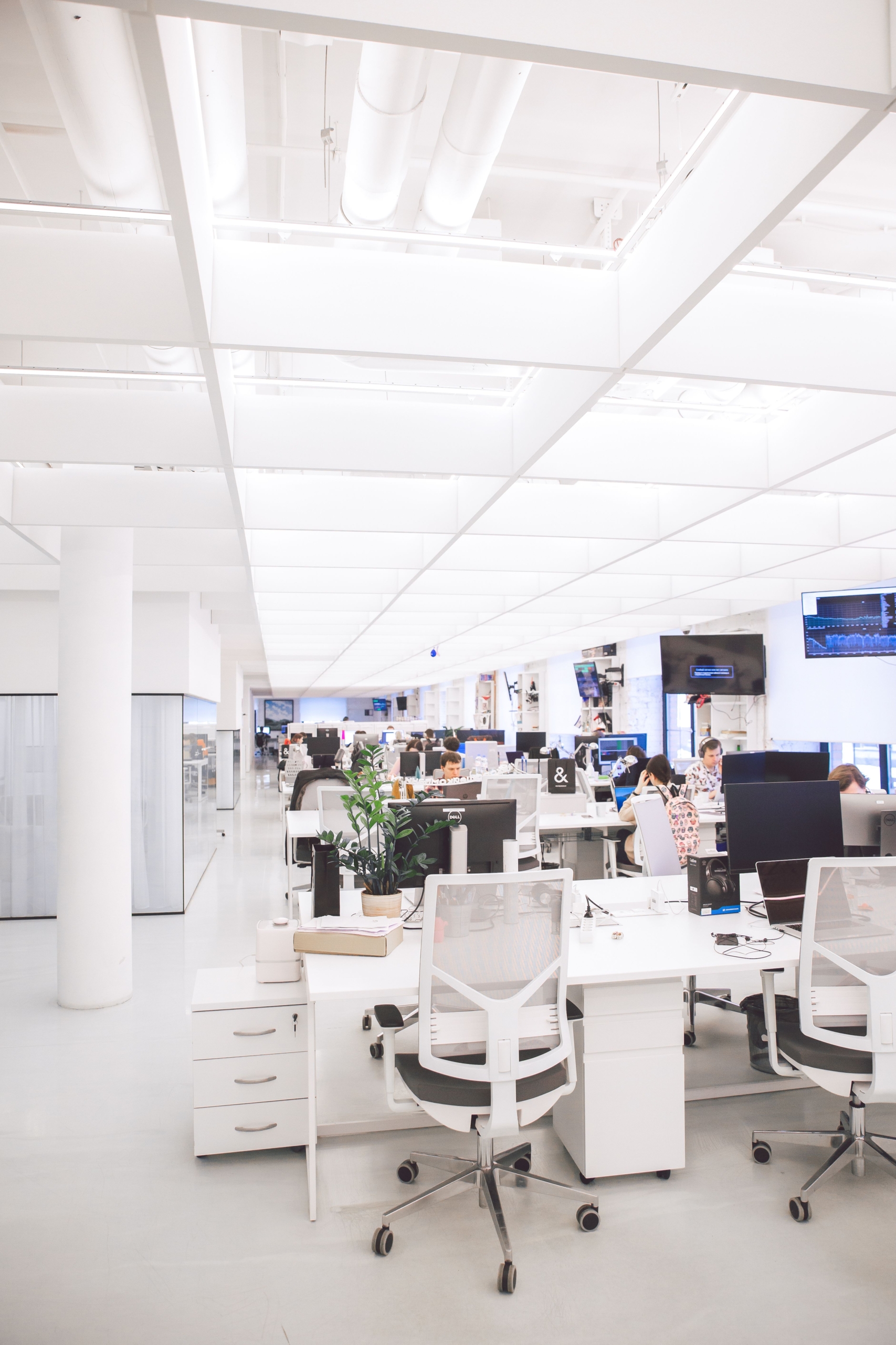 pexels polina zimmerman 3778619 scaled